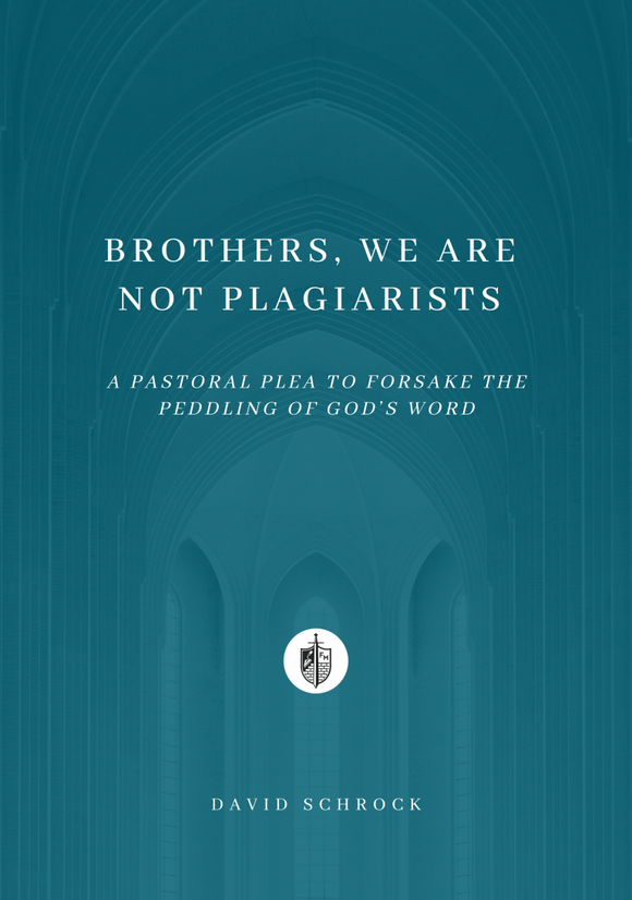 Brothers, We Are Not Plagiarists cover